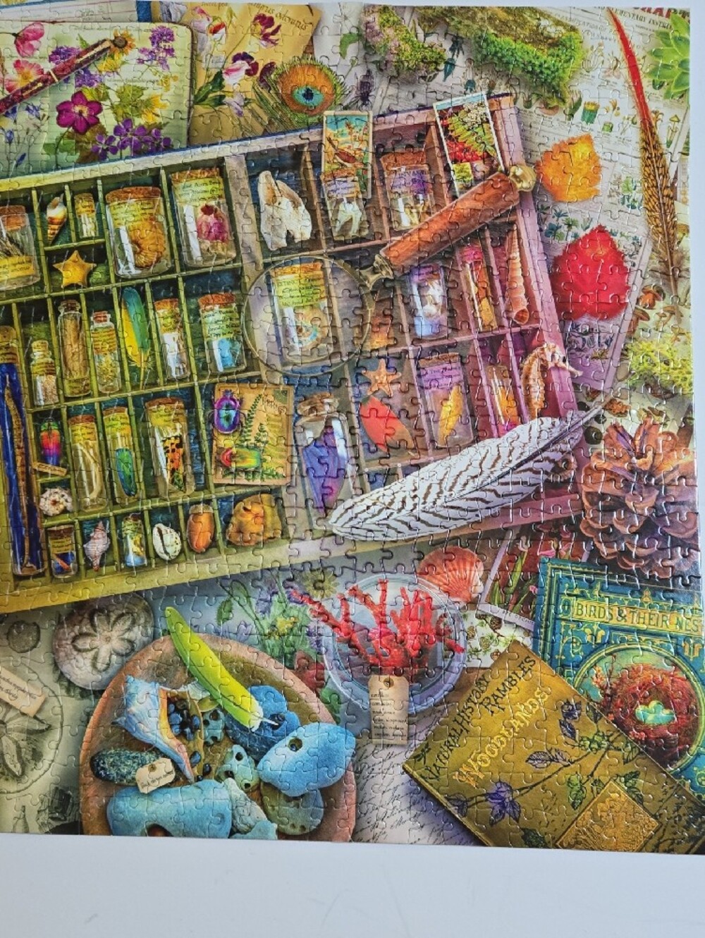 Aimee Stewart Puzzle Buffalo The Naturalist's Collection Jigsaw Puzzle 1000 Pcs - Picture 13 of 16